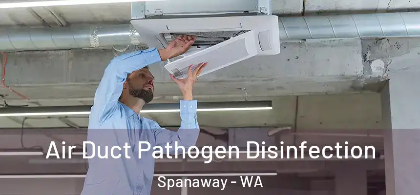 Air Duct Pathogen Disinfection Spanaway - WA
