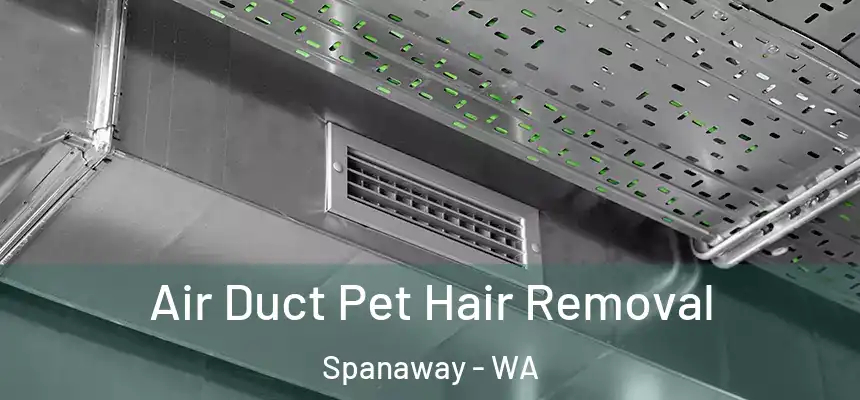  Air Duct Pet Hair Removal Spanaway - WA