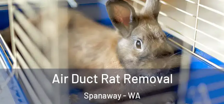 Air Duct Rat Removal Spanaway - WA