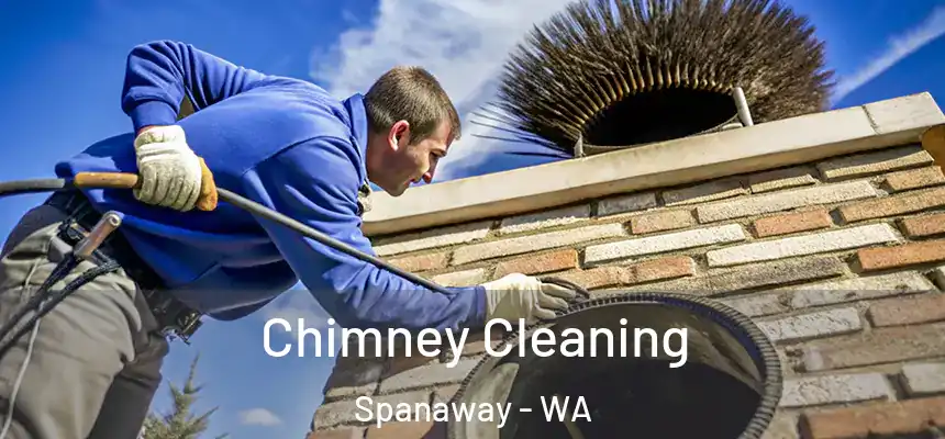 Chimney Cleaning Spanaway - WA