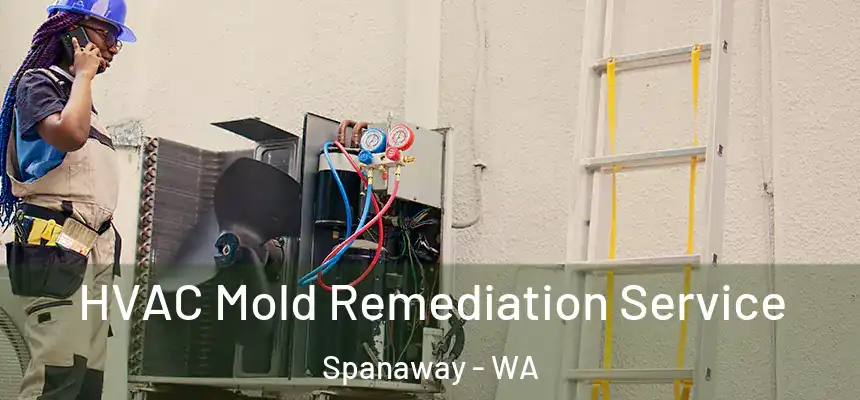  HVAC Mold Remediation Service Spanaway - WA