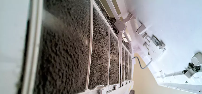 Preventive Air Duct Bacteria Removal in Spanaway