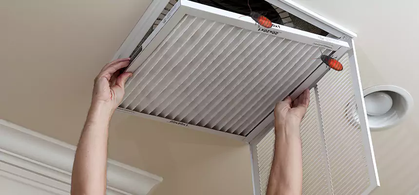 Preventive Cockroach-Proofing for Ducts in Spanaway