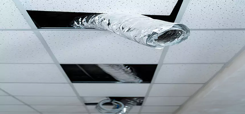 Our Air Duct Pet Hair Removal Services in Spanaway, WA