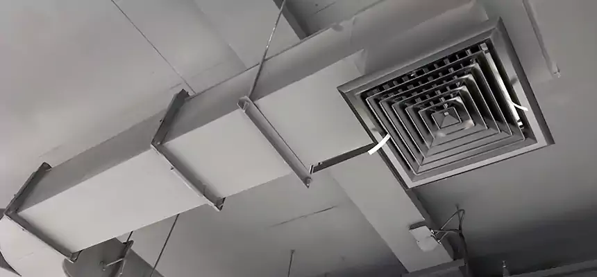 Restorative Allergy Relief Vent Cleaning – Coil, Blower & Housing Detail in Spanaway