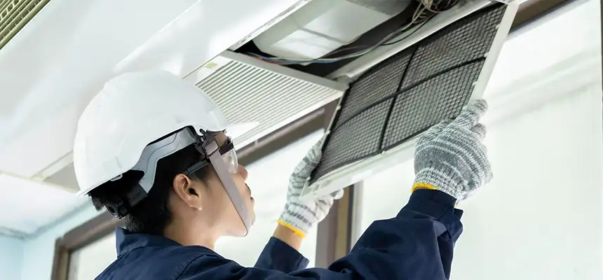 Our Lint Trap Cleaning Service Services in Spanaway, WA