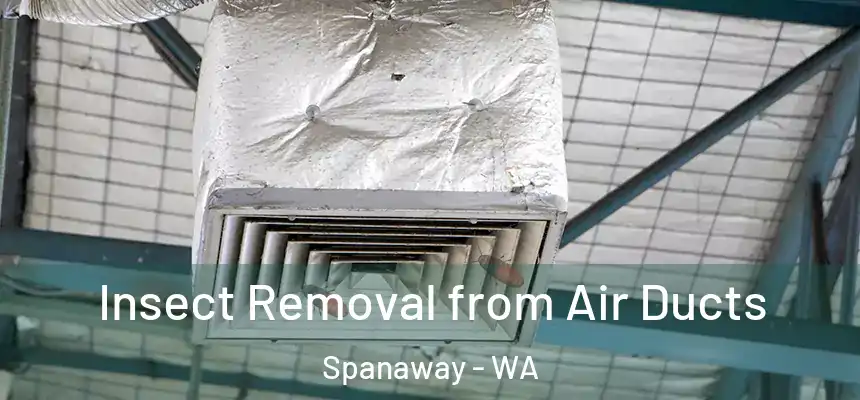 Insect Removal from Air Ducts Spanaway - WA