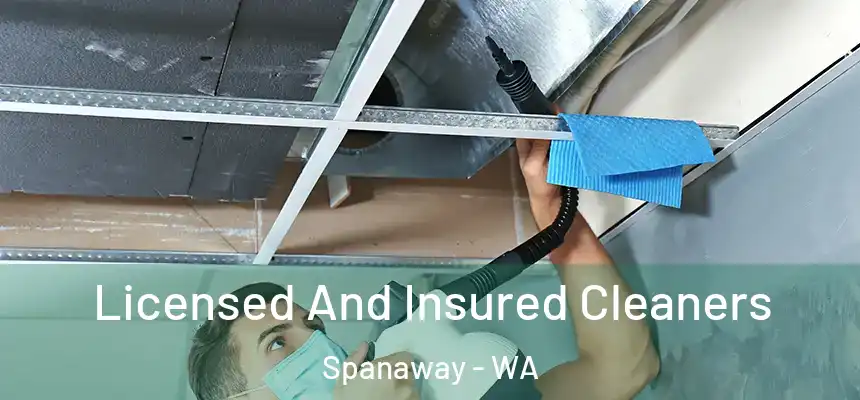 Licensed And Insured Cleaners Spanaway - WA