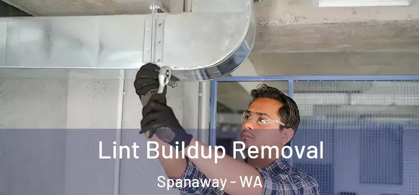 Lint Buildup Removal Spanaway - WA