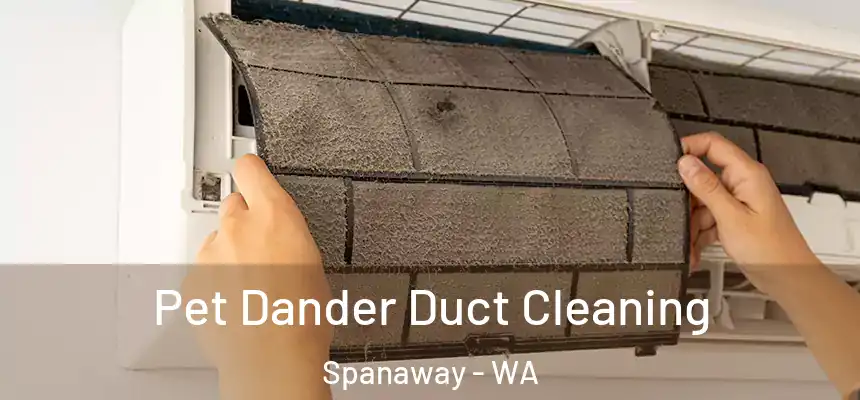 Pet Dander Duct Cleaning Spanaway - WA