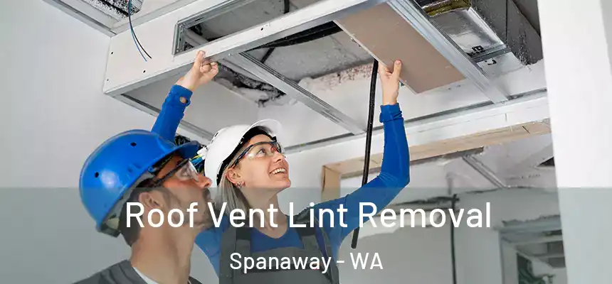 Roof Vent Lint Removal Spanaway - WA