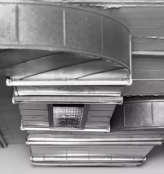 Professional Air Duct Pet Hair Removal in Spanaway, WA