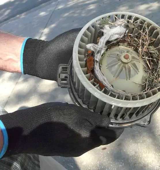 About Air Duct Rat Removal in Spanaway, WA