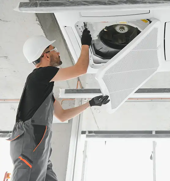 About Air Duct Rodent Removal in Spanaway, WA