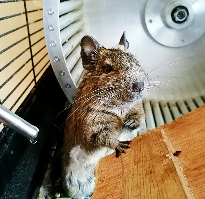 Why Homeowners & Businesses Trust Us Spanaway, WA