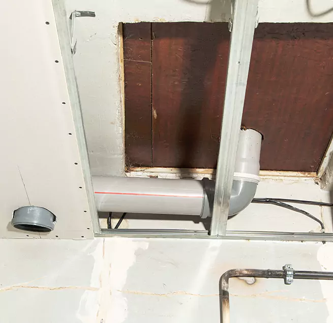 Why Homeowners & Businesses Trust Us in Spanaway, WA?