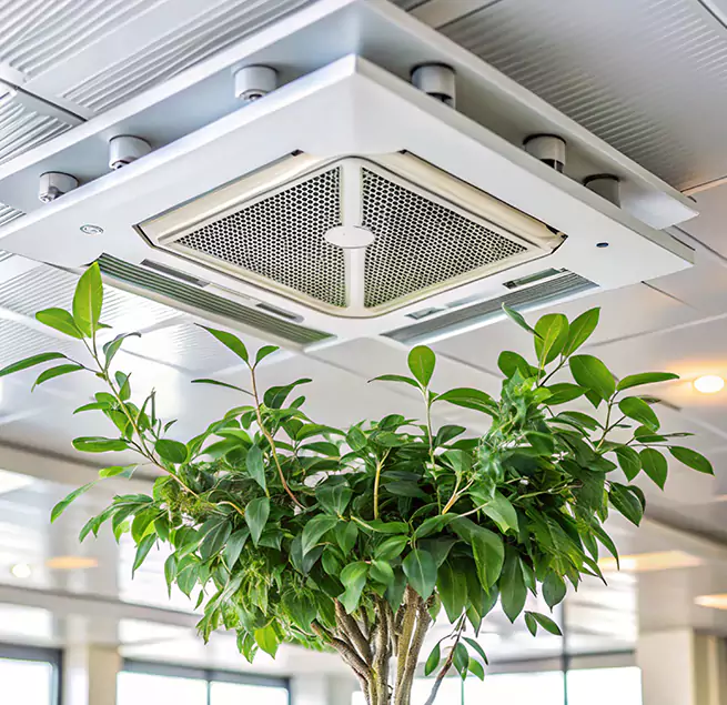 Why Homeowners & Businesses Trust Us in Spanaway, WA?