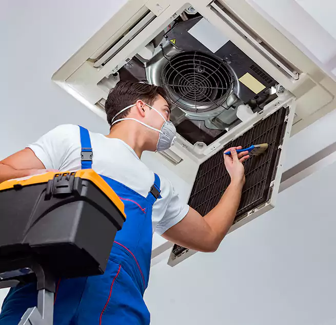 Why Homeowners & Businesses Trust Us in Spanaway, WA?